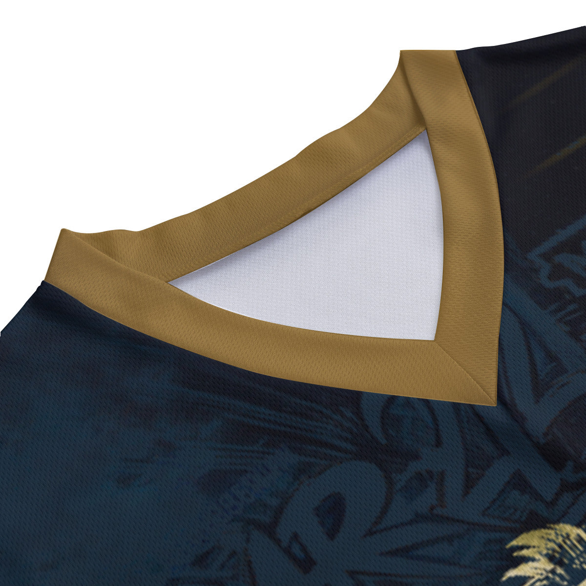 Maillot foot maroc enfant Lion Atlas patriot