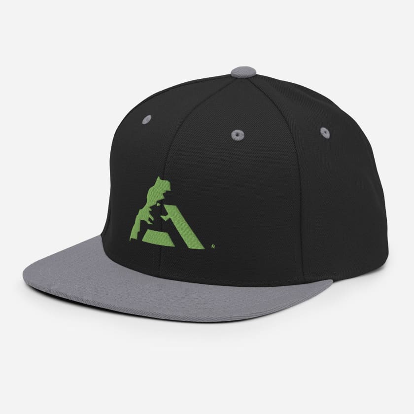 Casquette MAR logo vert pistache brodé Snapback