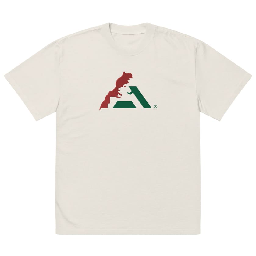 T-shirt AtlasLeo Style oversize délavé unisexe