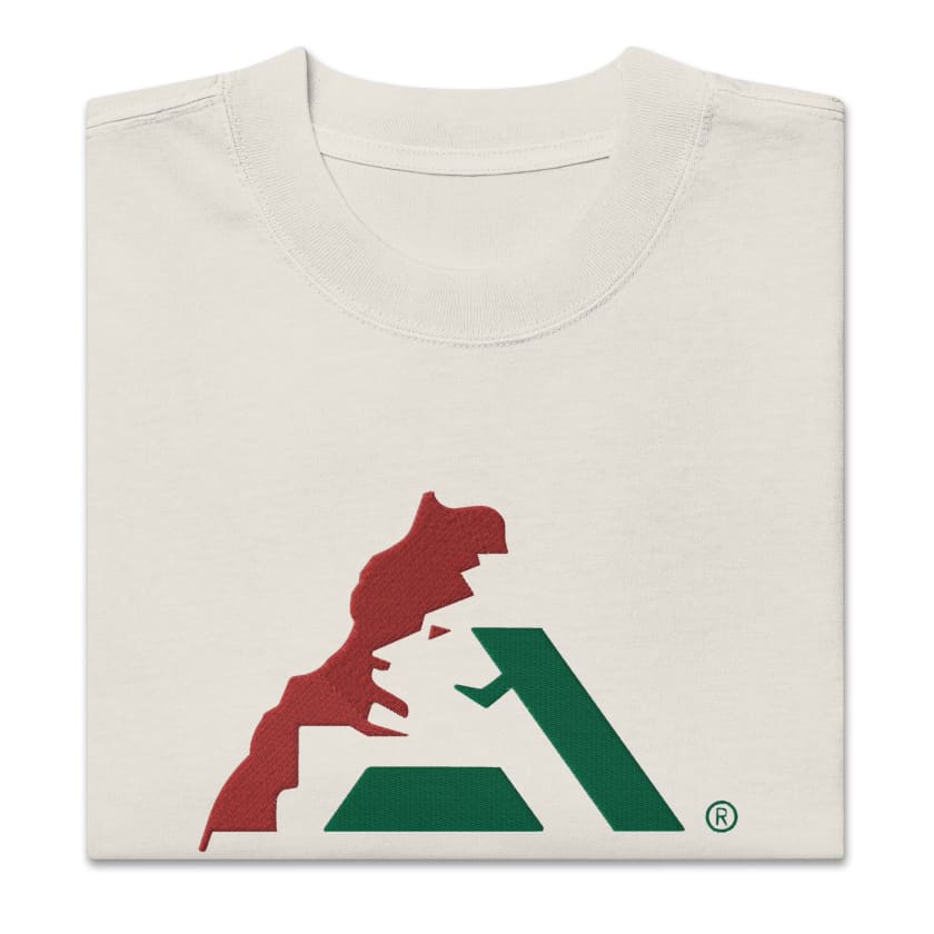 T-shirt AtlasLeo Style oversize délavé unisexe