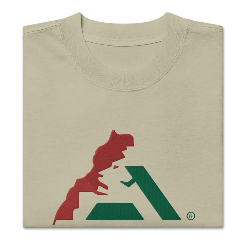 T-shirt AtlasLeo Style oversize délavé unisexe