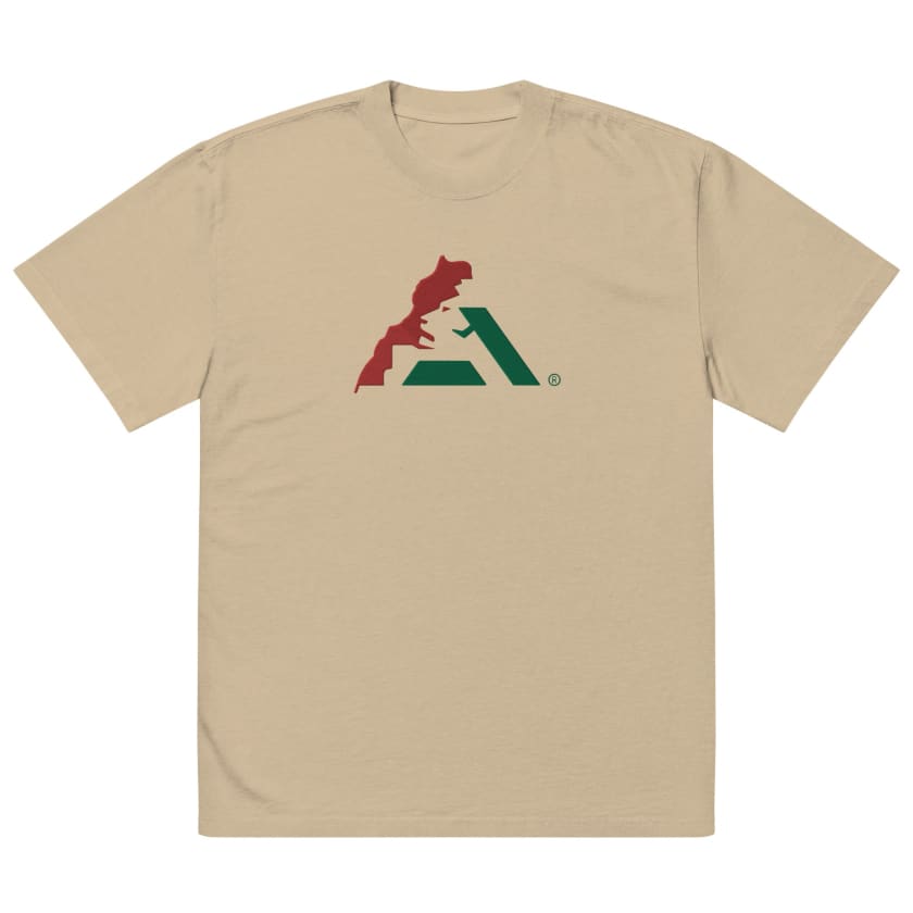 T-shirt AtlasLeo Style oversize délavé unisexe