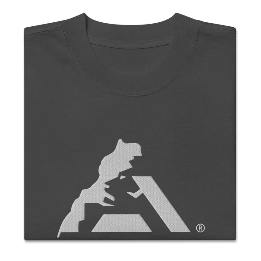 T-shirt AtlasLeo Style oversize délavé unisexe