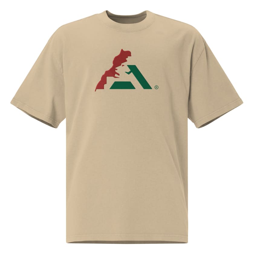 T-shirt AtlasLeo Style oversize délavé unisexe