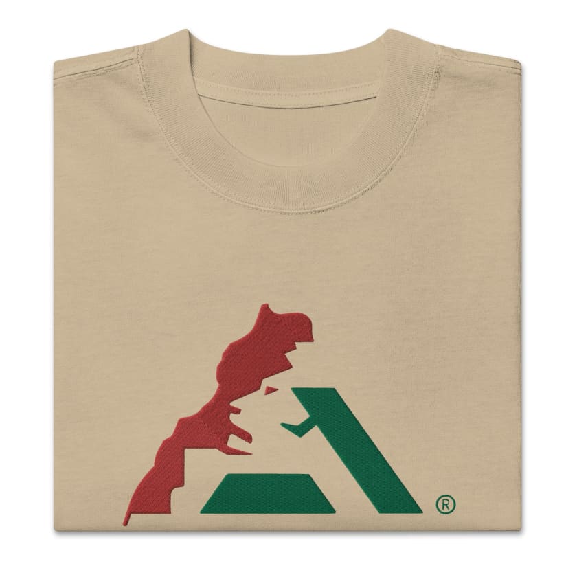 T-shirt AtlasLeo Style oversize délavé unisexe