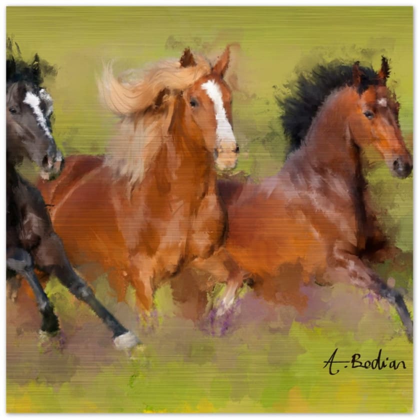Tableau Chevaux galopants Impression en aluminium brossé - 