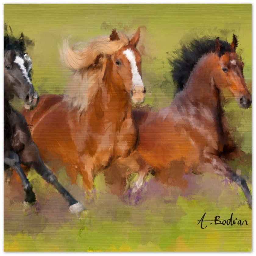 Tableau Chevaux galopants Impression en aluminium brossé - 