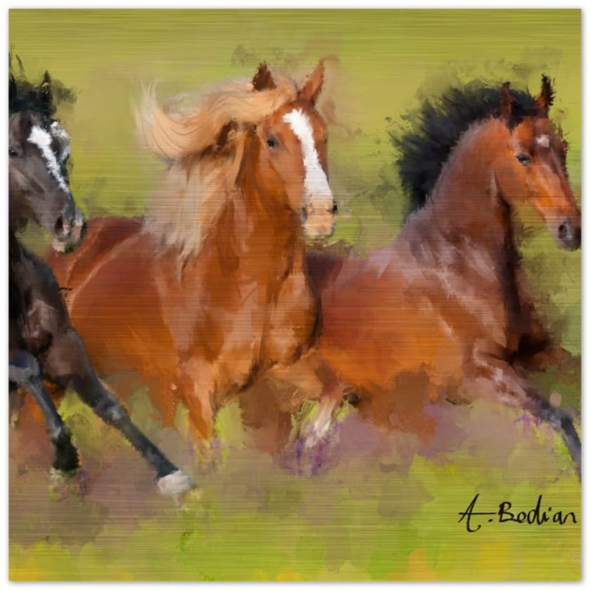 Tableau Chevaux galopants Impression en aluminium brossé - 