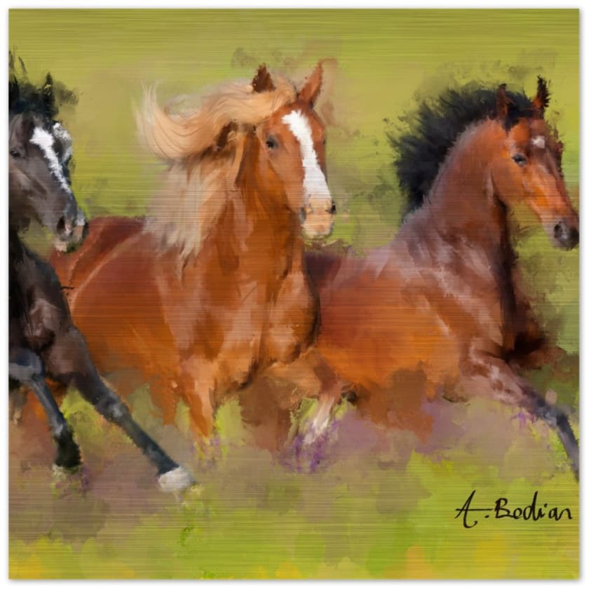 Tableau Chevaux galopants Impression en aluminium brossé - 