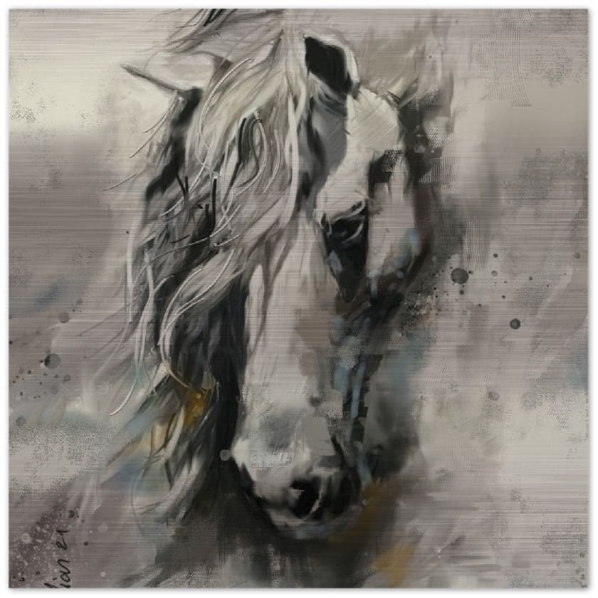 Tableau maroc cheval Arabe Impression en aluminium brossé - 