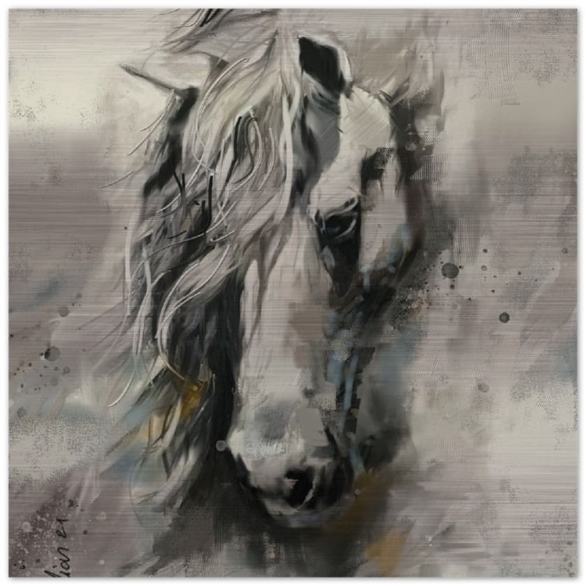 Tableau maroc cheval Arabe Impression en aluminium brossé - 