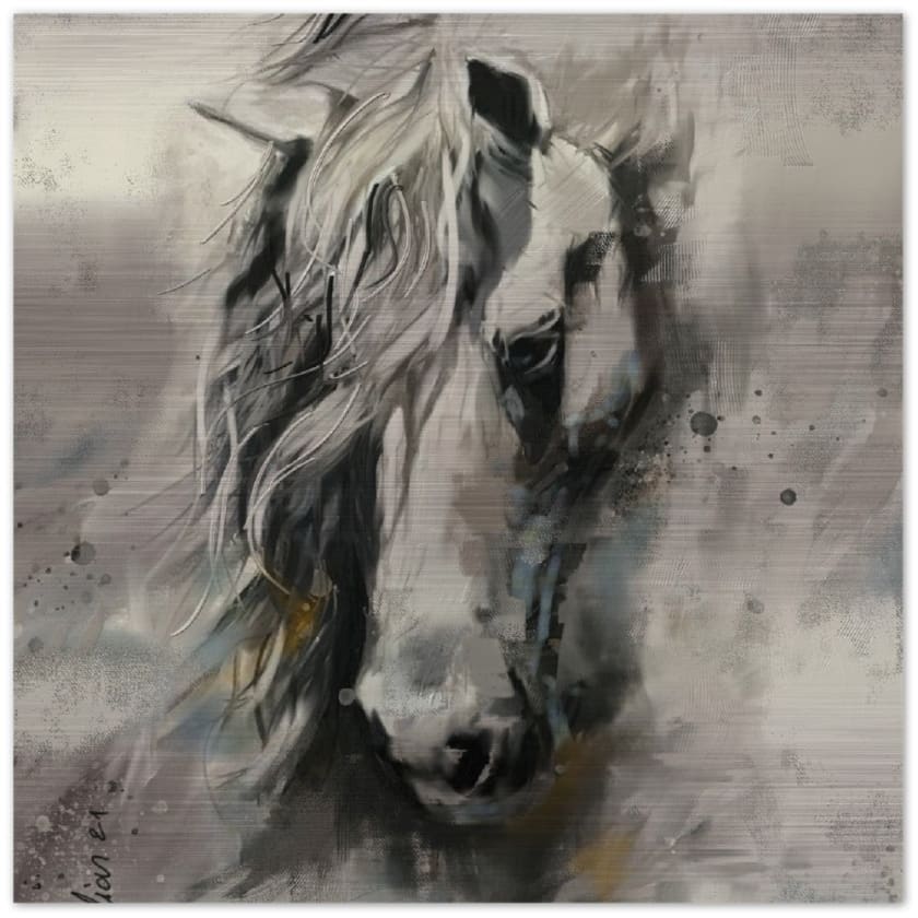 Tableau maroc cheval Arabe Impression en aluminium brossé - 