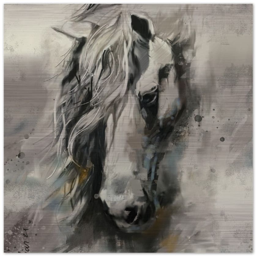 Tableau maroc cheval Arabe Impression en aluminium brossé - 