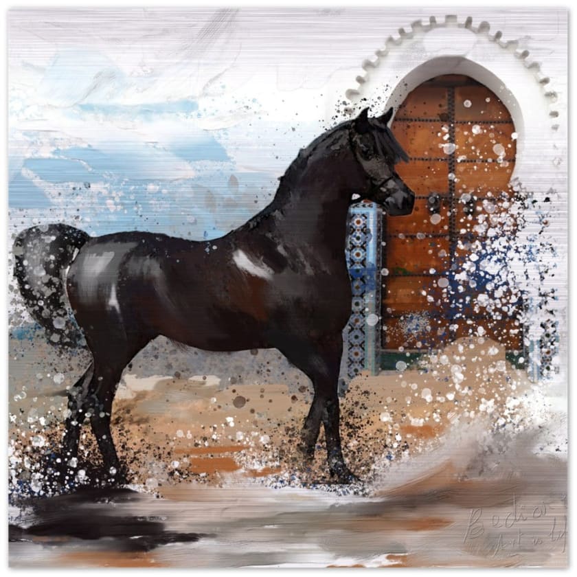 Tableau Marocain cheval noir Impression en aluminium brossé 