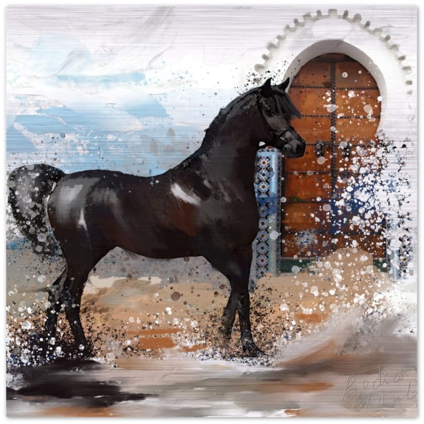 Tableau Marocain cheval noir Impression en aluminium brossé 