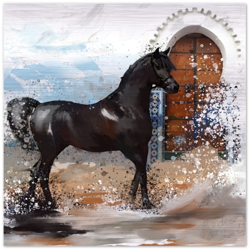 Tableau Marocain cheval noir Impression en aluminium brossé 
